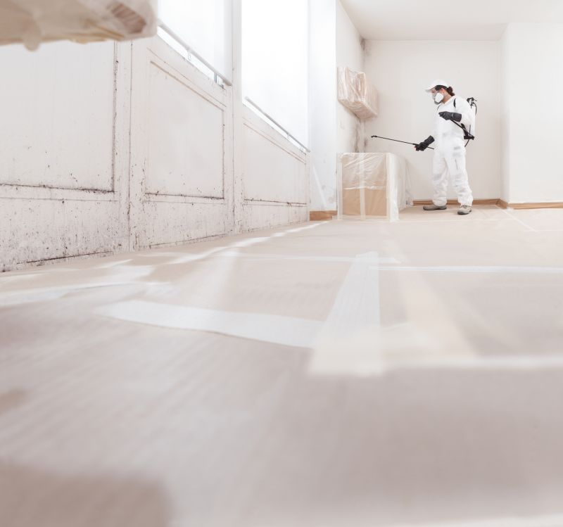Mold Remediation Service in Jupiter, FL