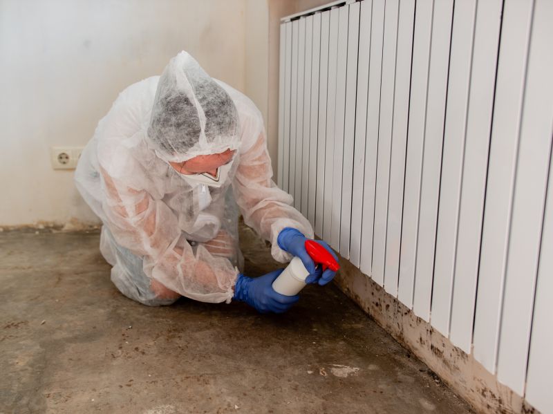 Mold Treatment Service in Essex County, NJ