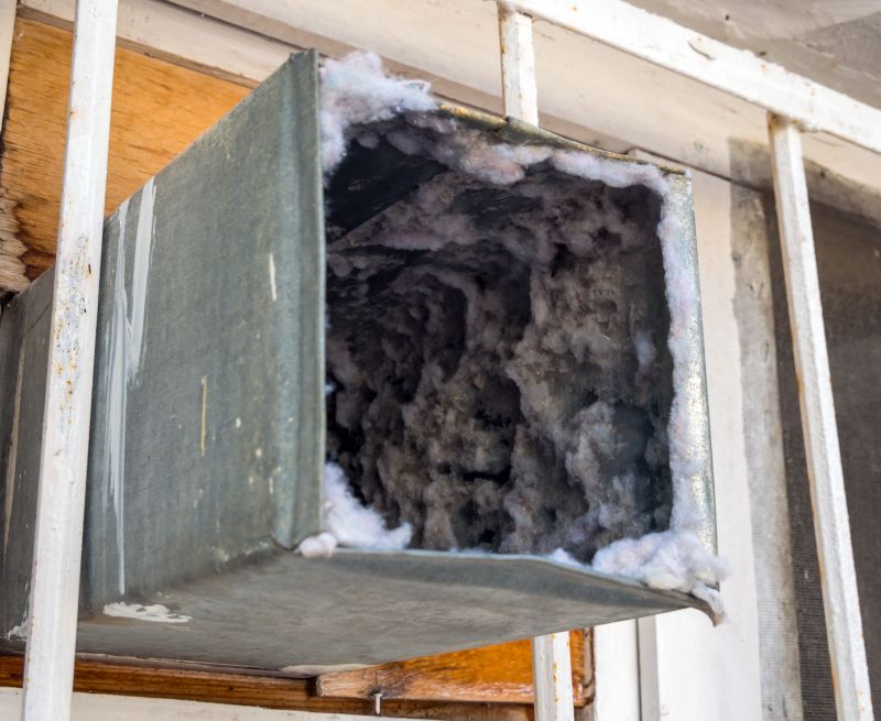 Air Duct Mold Removal in Broward County, FL