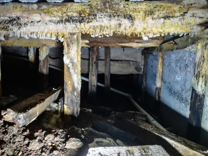 Crawl Space Mold Removal in Essex County, NJ