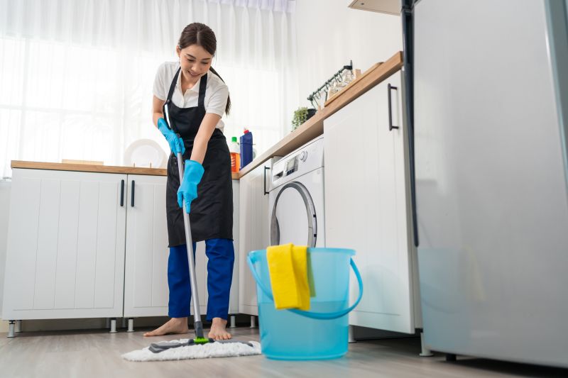 Kitchen Cleaning in Frisco, TX
