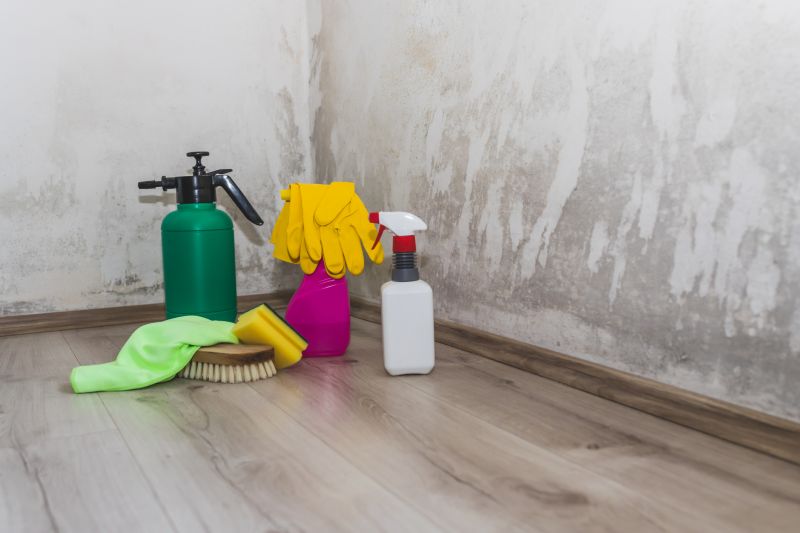 Mold Cleanup Service in Bergen County, NJ