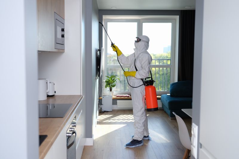 Mold Cleanup Service in Frisco, TX