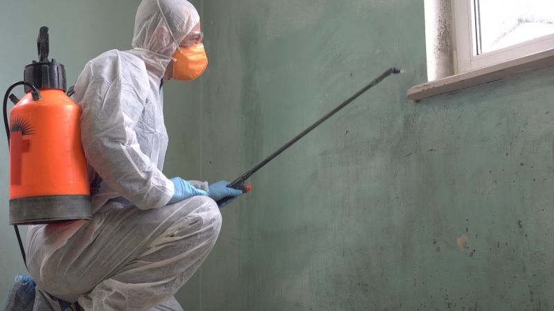 Mold Control in Broward County, FL
