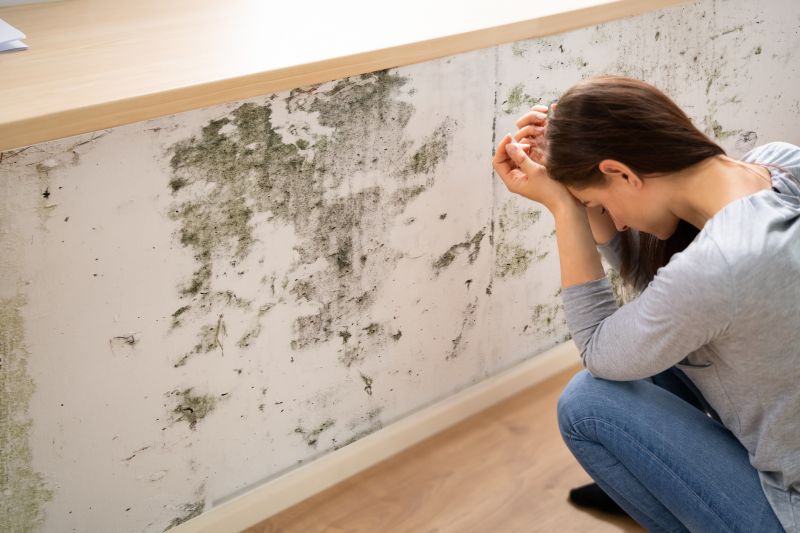 Mold Detection in Bergen County, NJ