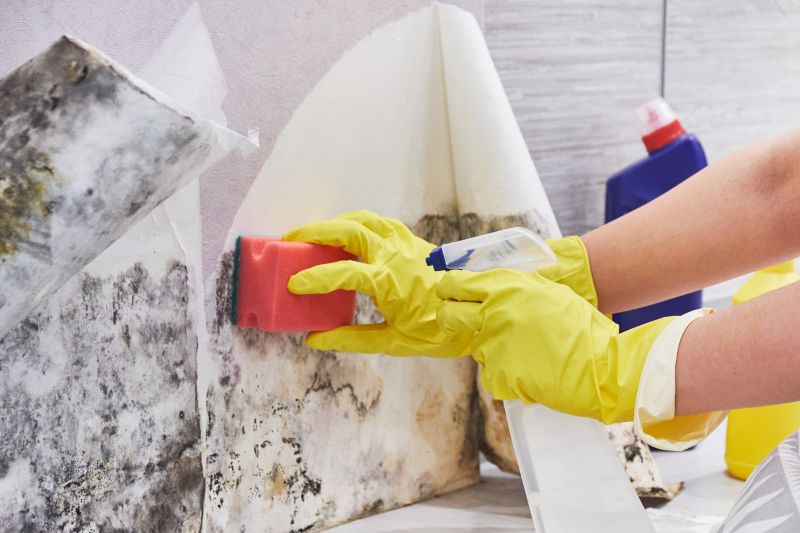 Mold Treatment Service in Jupiter, FL