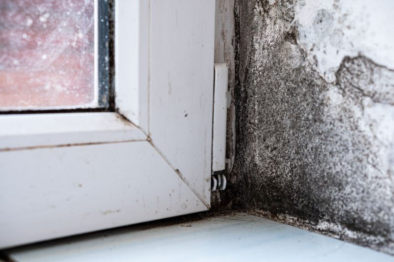 Mold Treatment Service in West Palm Beach, FL