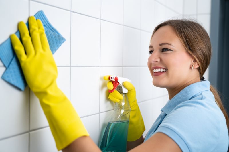 Wall Cleaning Service