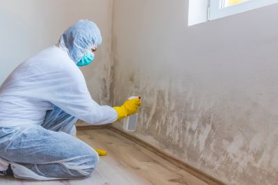 White Mold Mitigation in Jupiter, FL