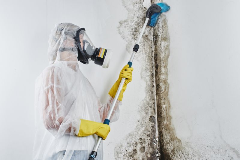White Mold Mitigation in Frisco, TX