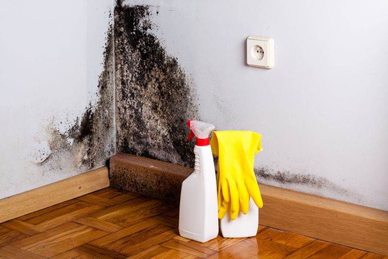 White Mold Mitigation in Boca Raton, FL