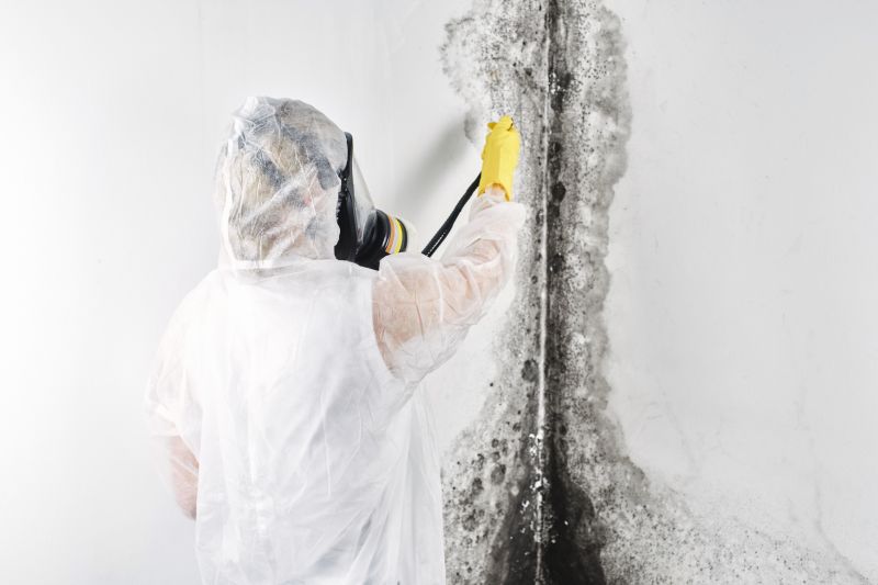 White Mold Mitigation in Broward County, FL